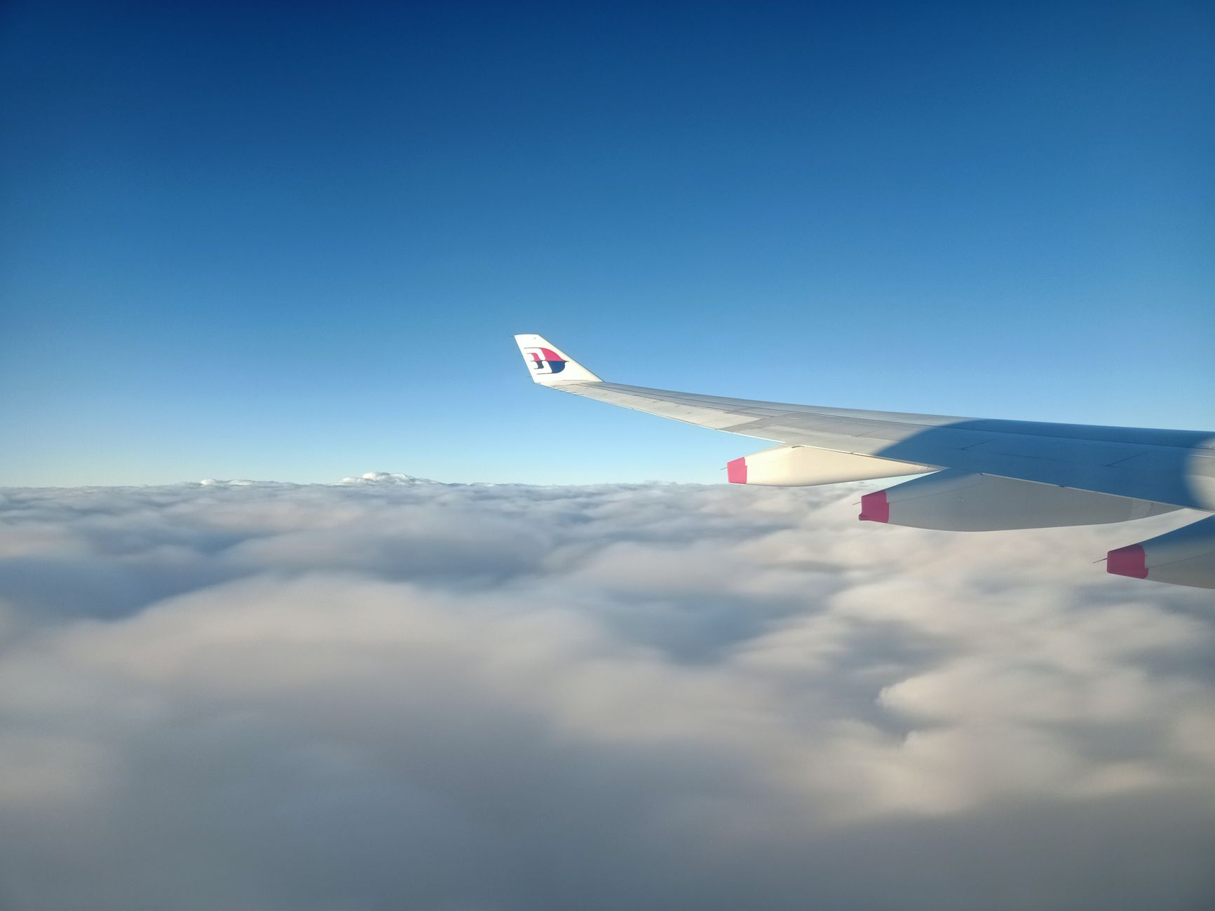 EgyptAir Airbus A330 in flight